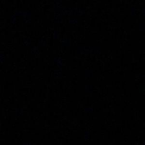 Meet your Posher, Phillip